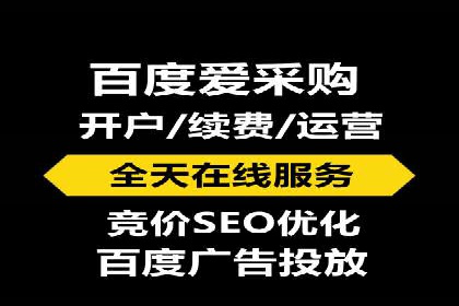 SEM代运营案例分析：精准投放策略解析
